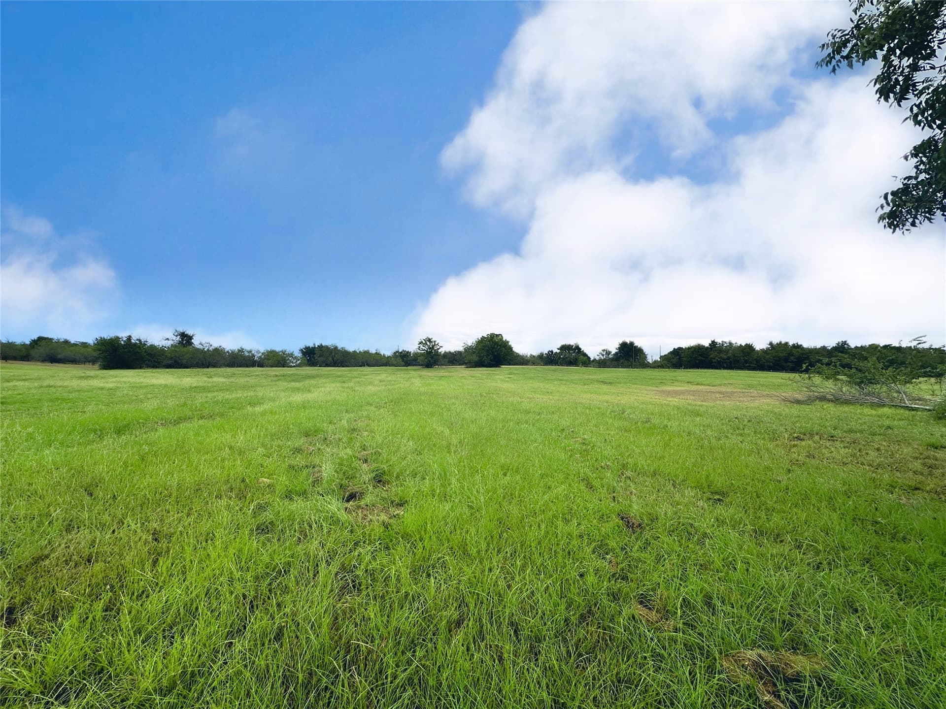 1.12 acres in Navarro County - photo 14