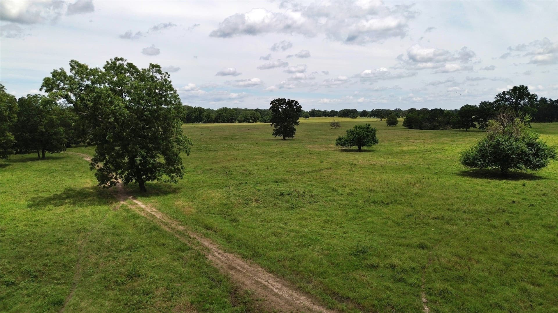 261.69 acres in Delta County - photo 36