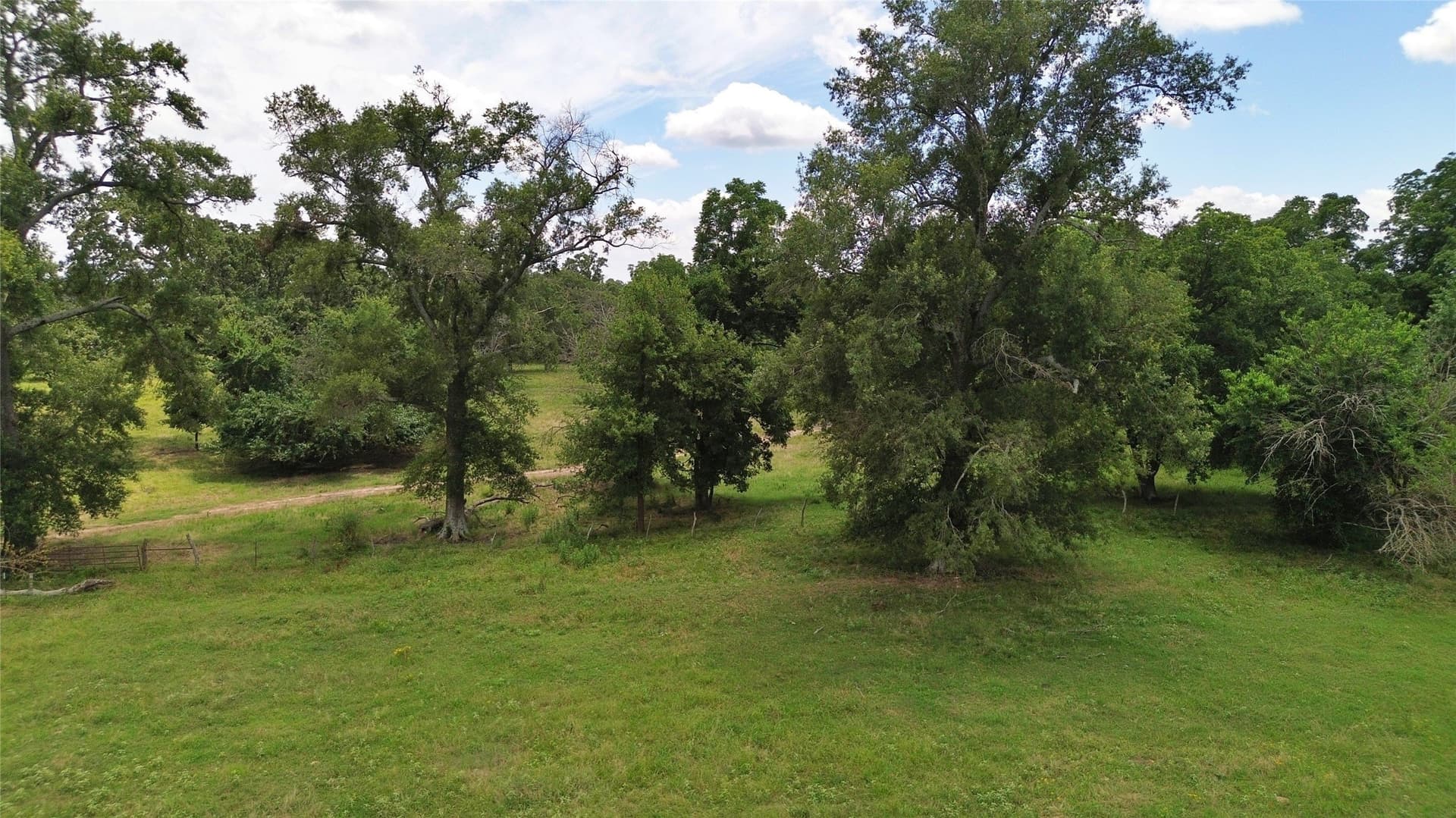 261.69 acres in Delta County - photo 29