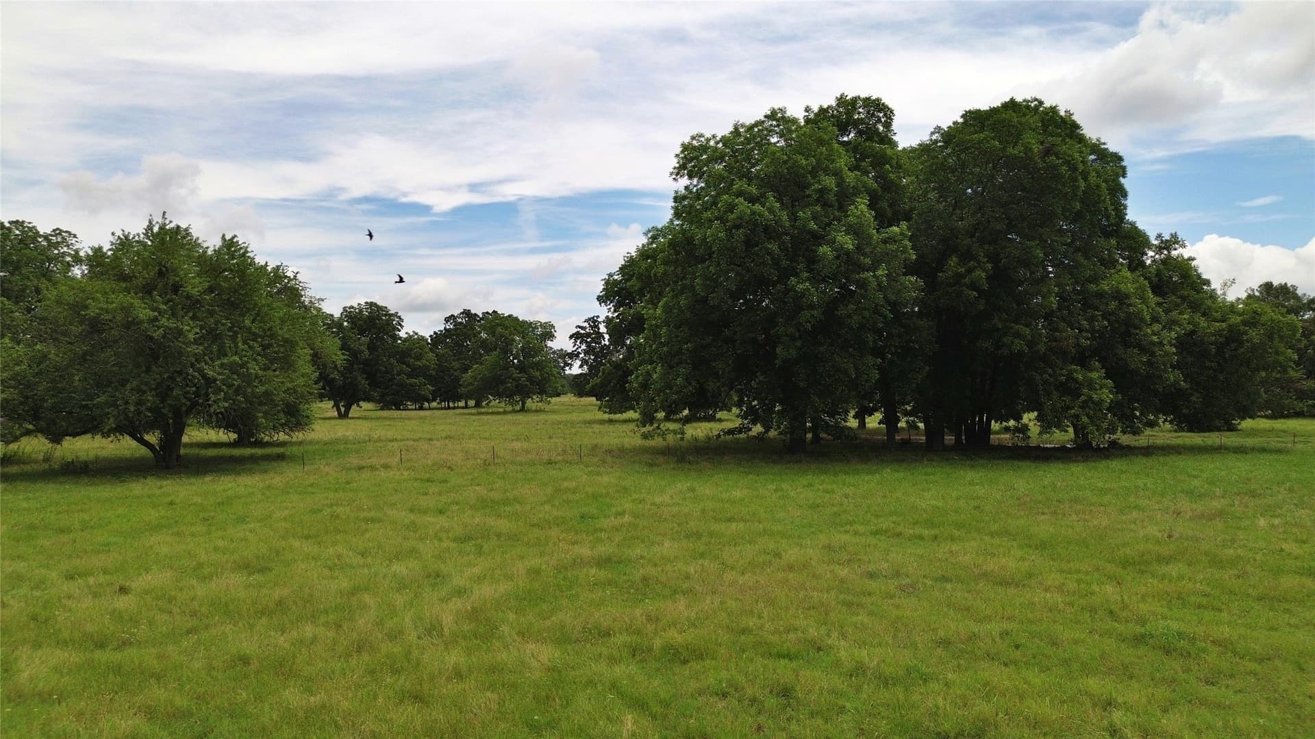 261.69 acres in Delta County - photo 30