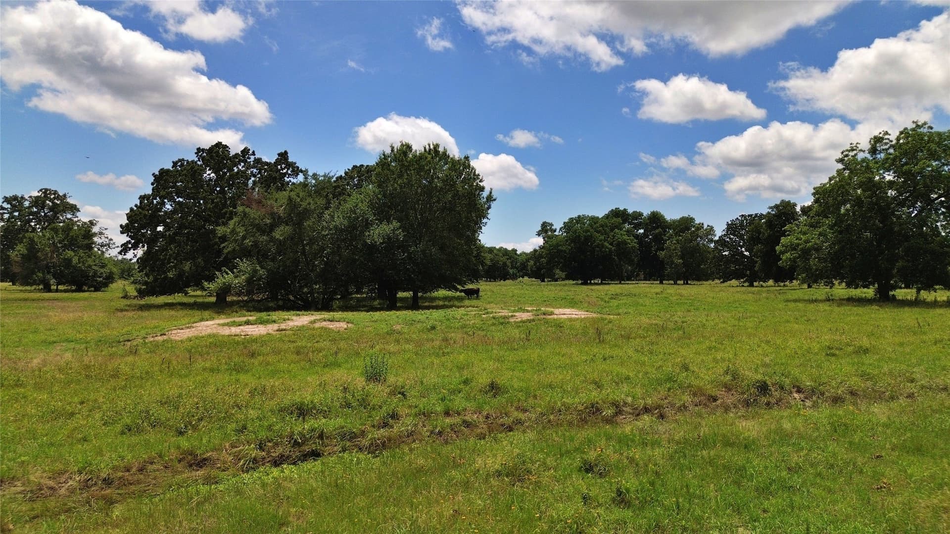 261.69 acres in Delta County - photo 28