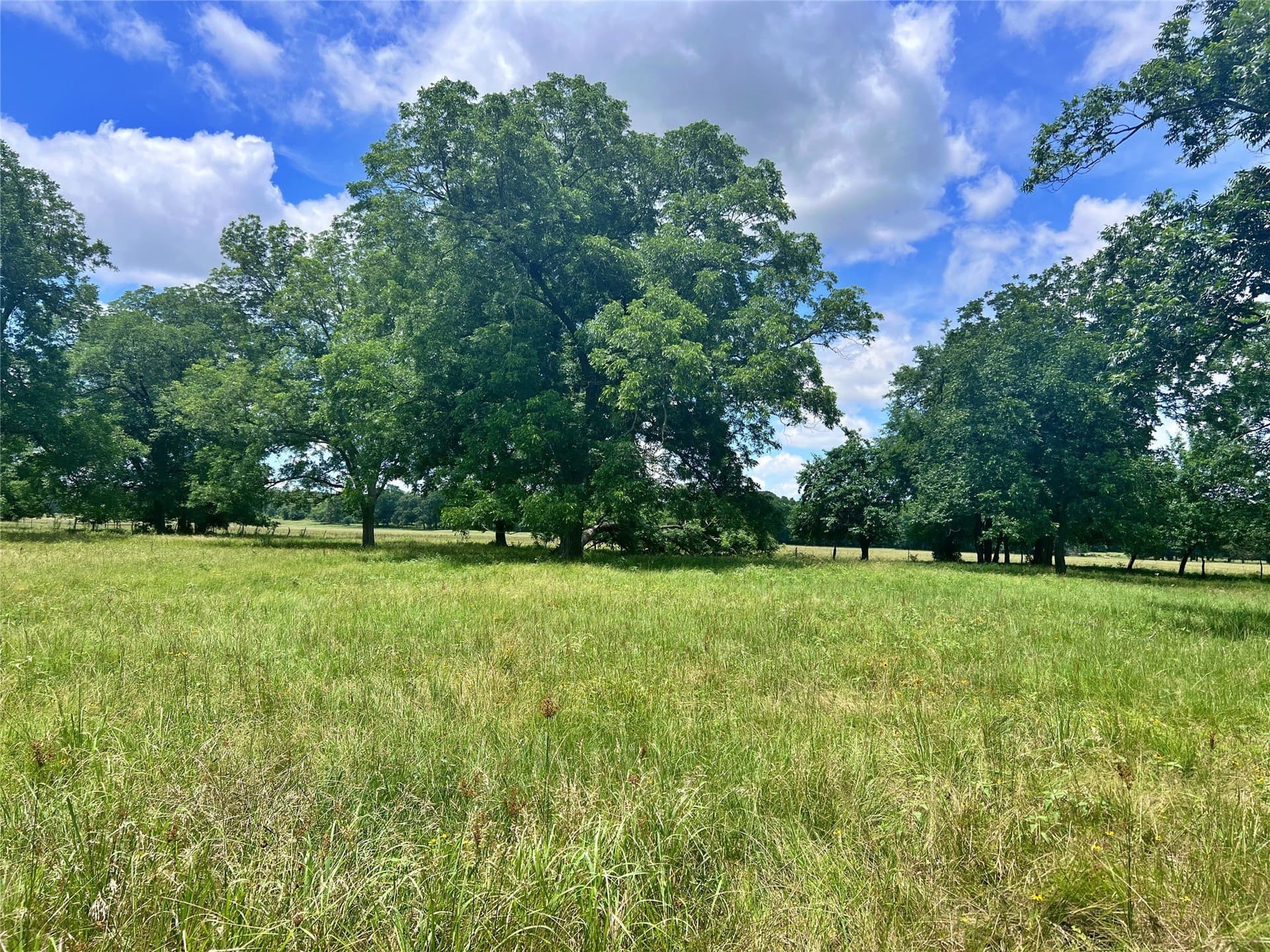 261.69 acres in Delta County - photo 17