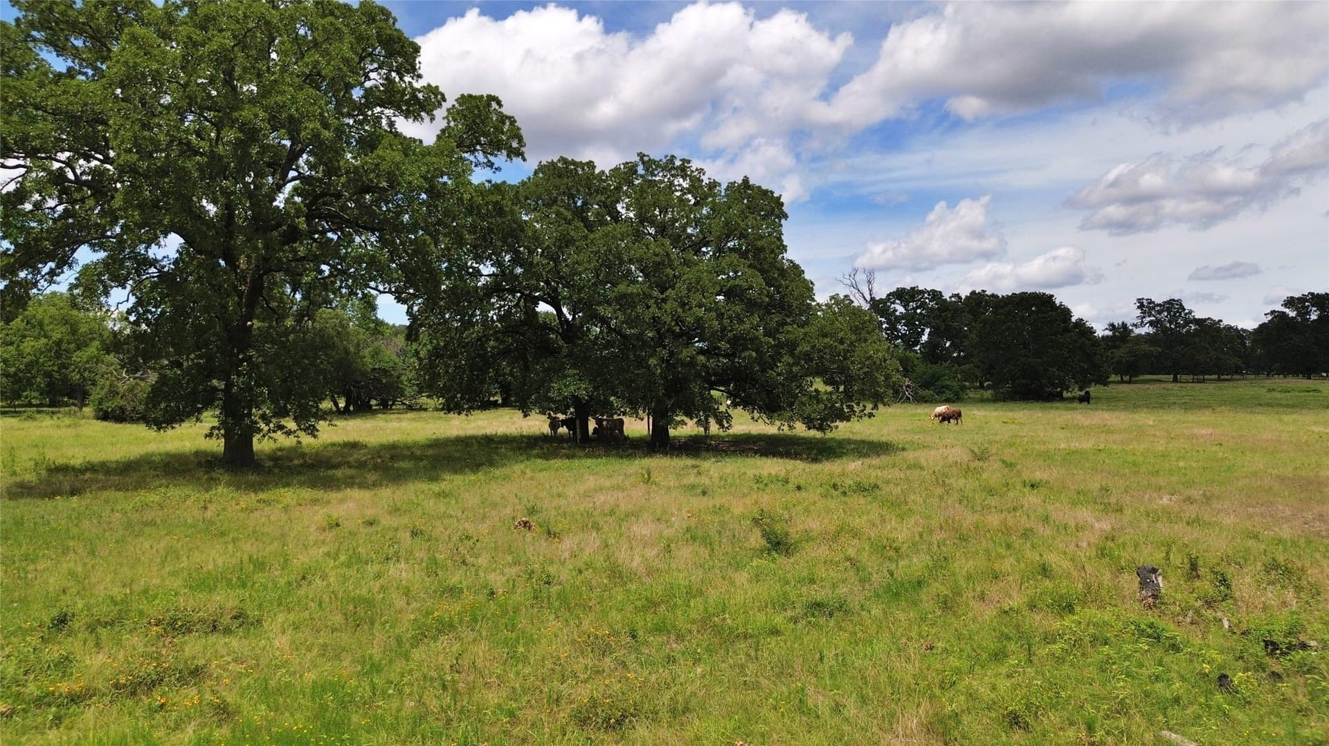 261.69 acres in Delta County - photo 27