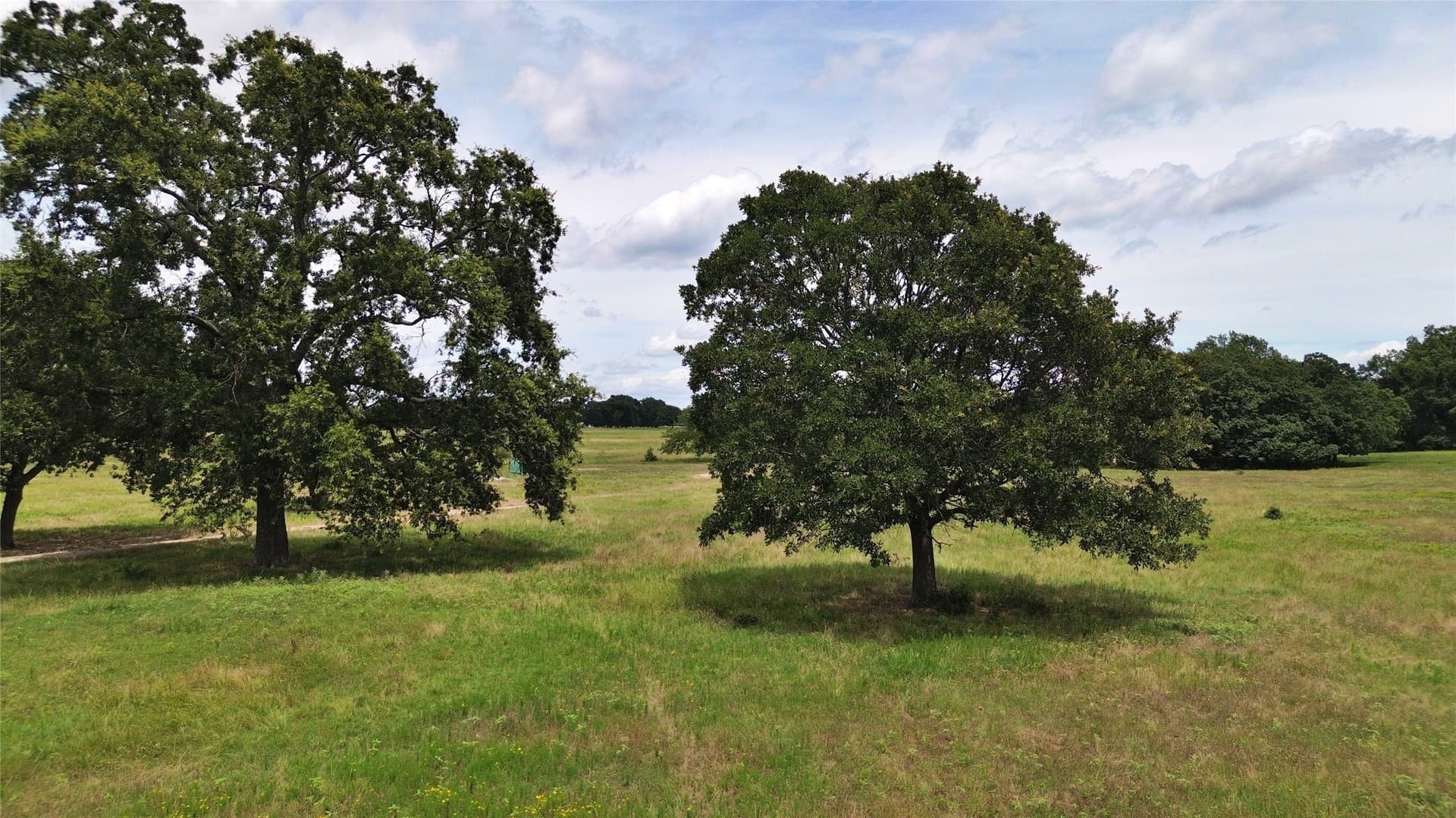 261.69 acres in Delta County - photo 25
