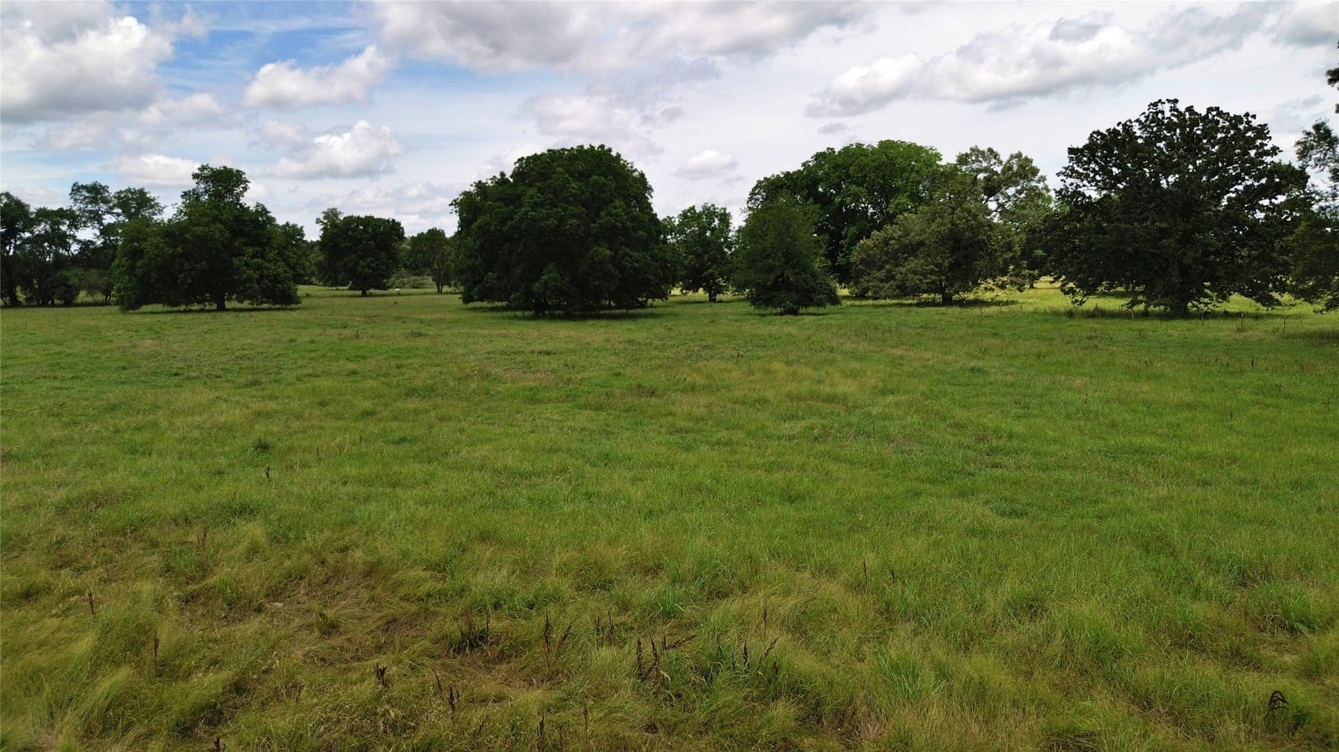 261.69 acres in Delta County - photo 19