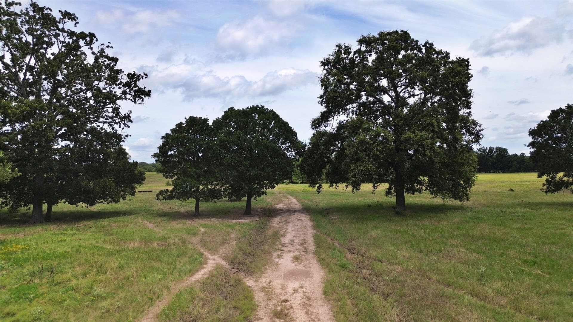 261.69 acres in Delta County - photo 23