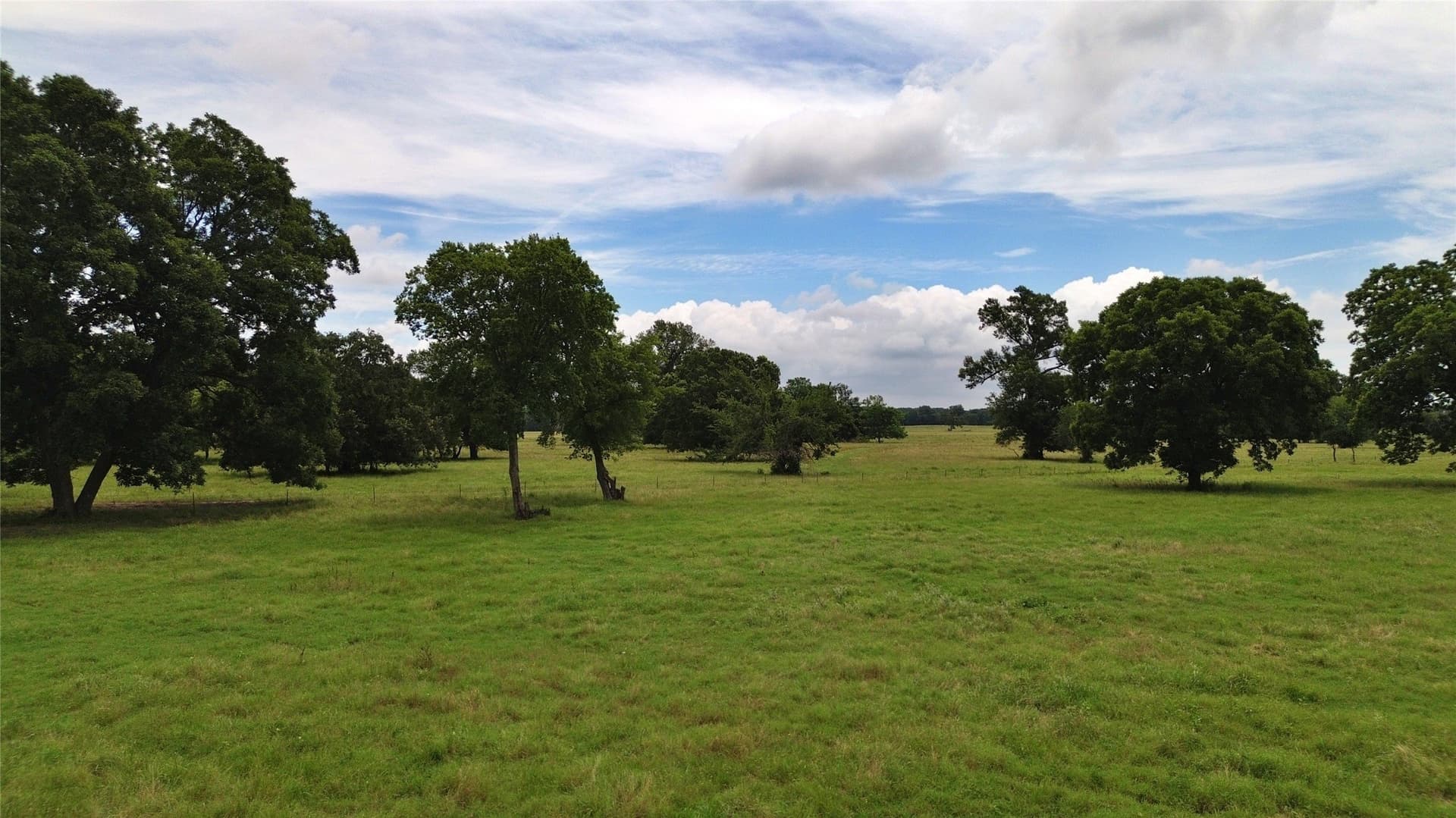 261.69 acres in Delta County - photo 38