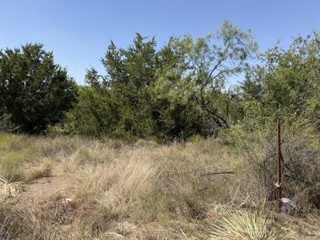0.96 acres in McCulloch County - photo 3