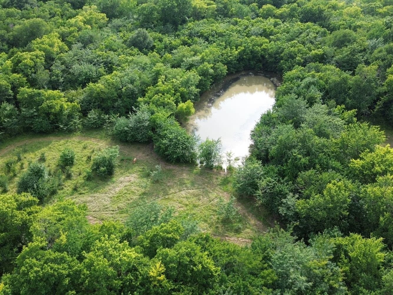 40 acres in Hunt County