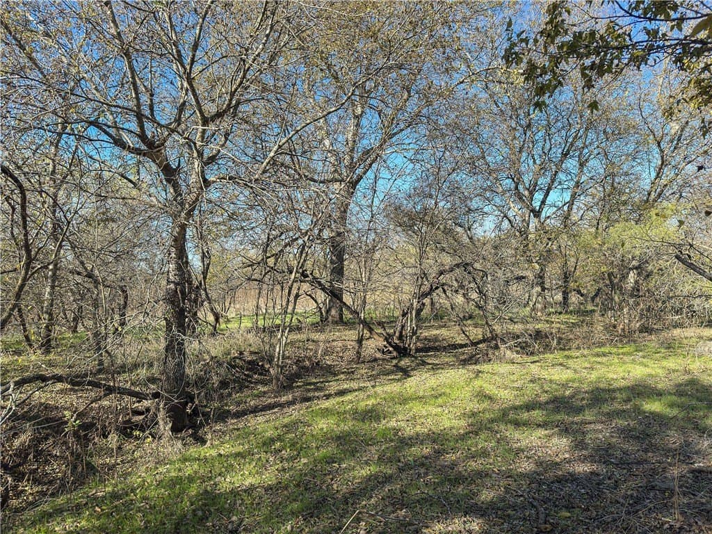 20 acres in McLennan County - photo 46