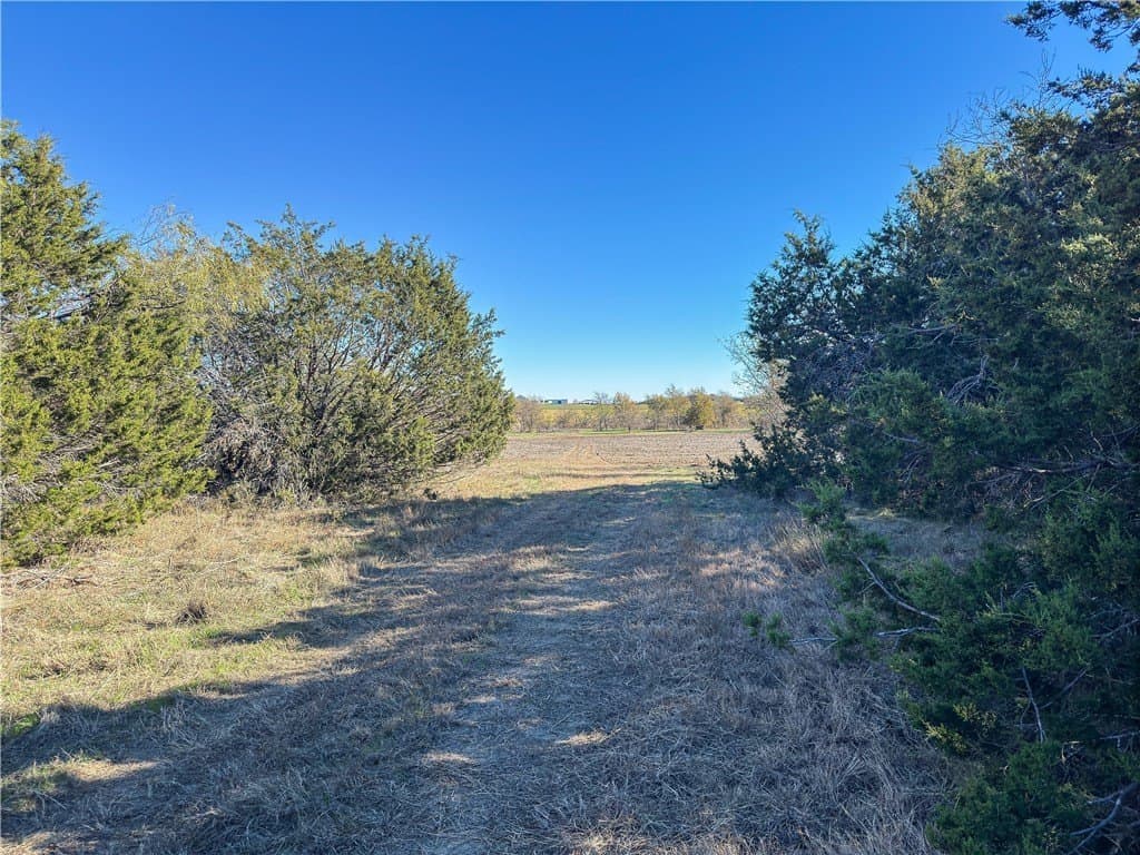 20 acres in McLennan County - photo 40