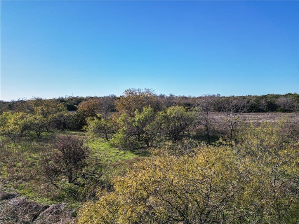 20 acres in McLennan County - photo 17