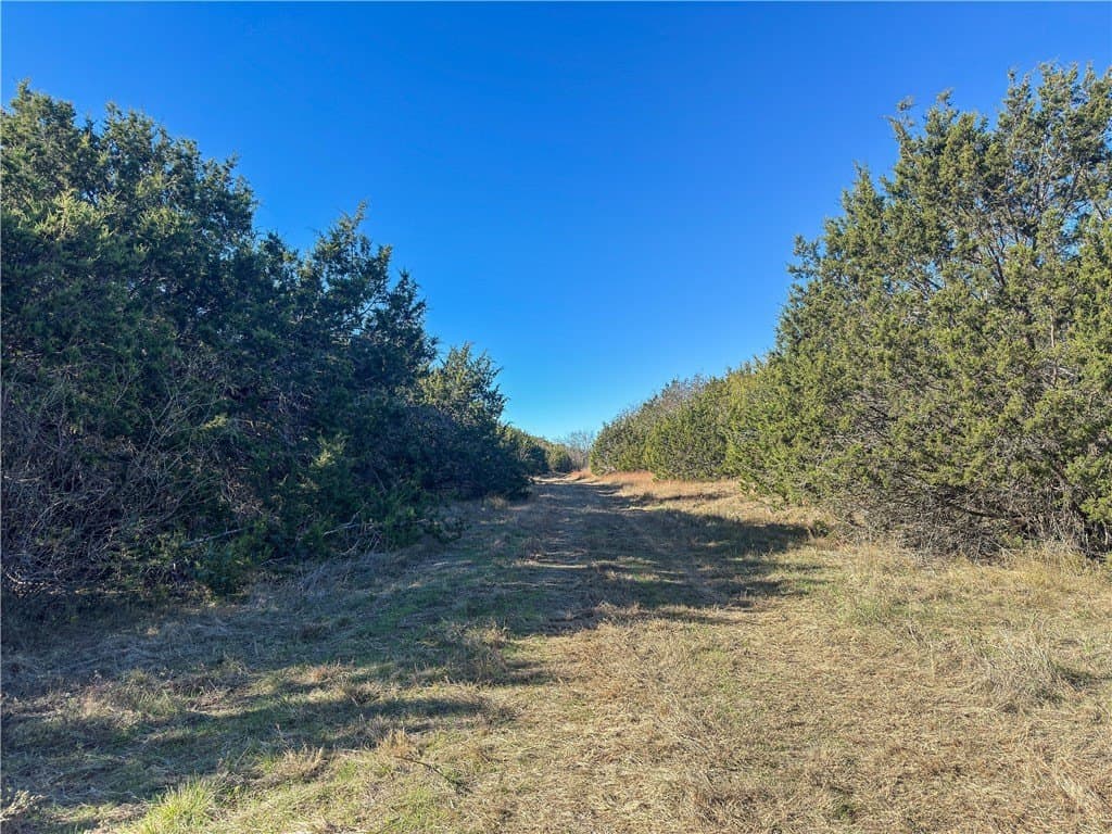 20 acres in McLennan County - photo 38