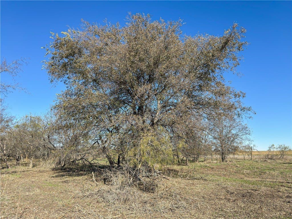 20 acres in McLennan County - photo 41