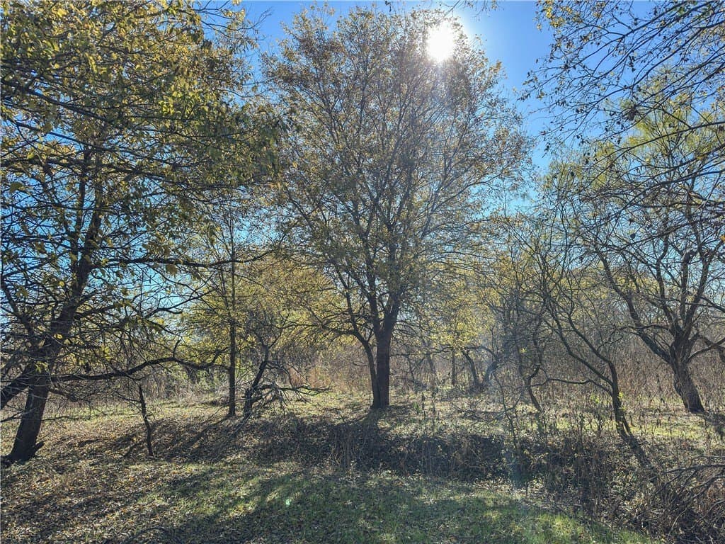 20 acres in McLennan County - photo 48