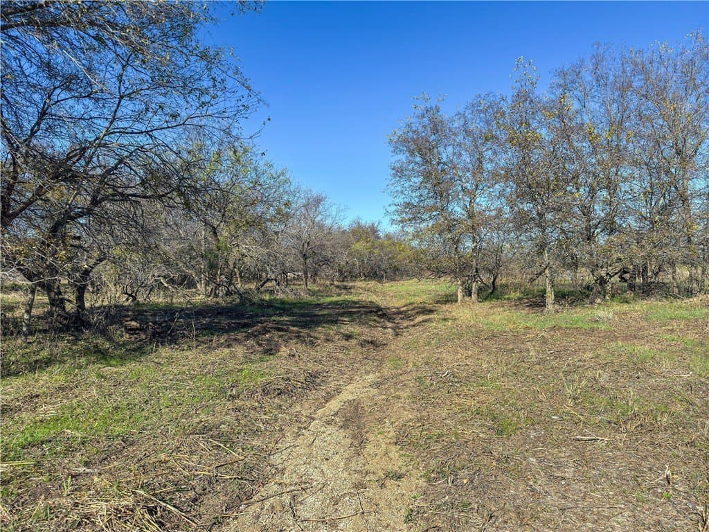 20 acres in McLennan County - photo 44