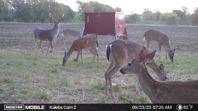 20 acres in McLennan County - photo 53
