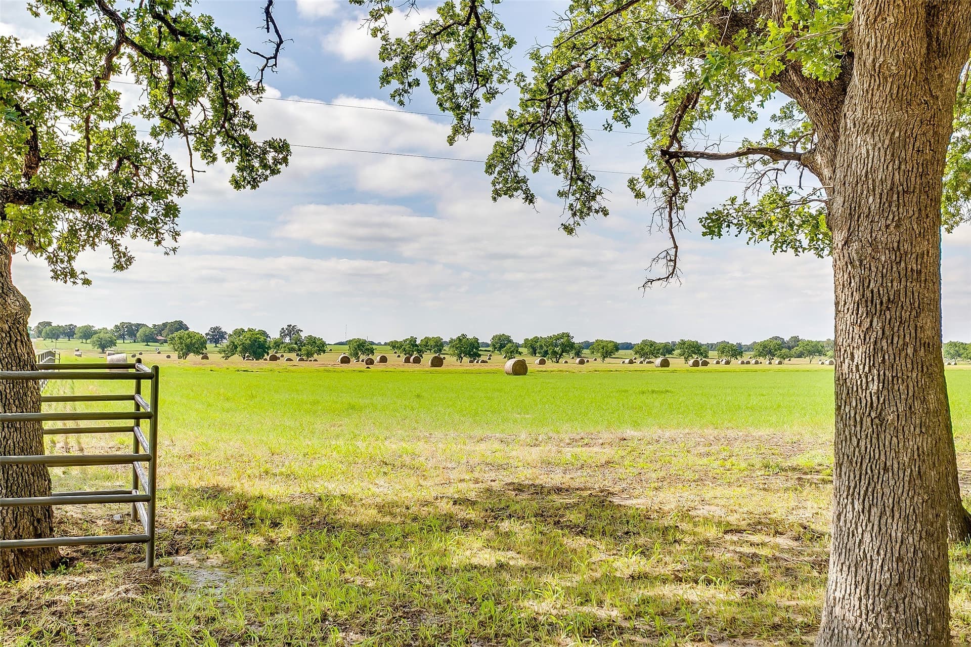 25 acres in Montague County - photo 22