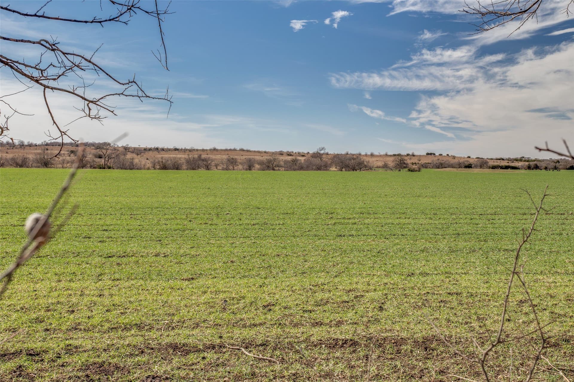 563.39 acres in Johnson County - photo 16