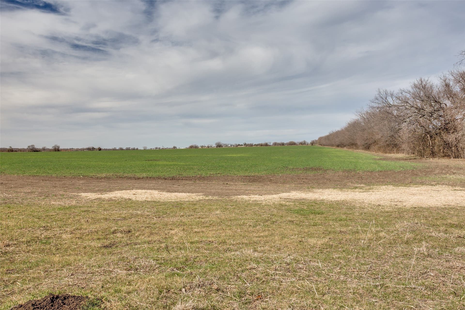 563.39 acres in Johnson County - photo 17