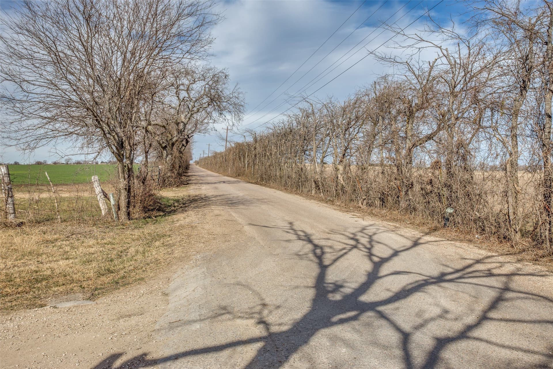 563.39 acres in Johnson County - photo 12