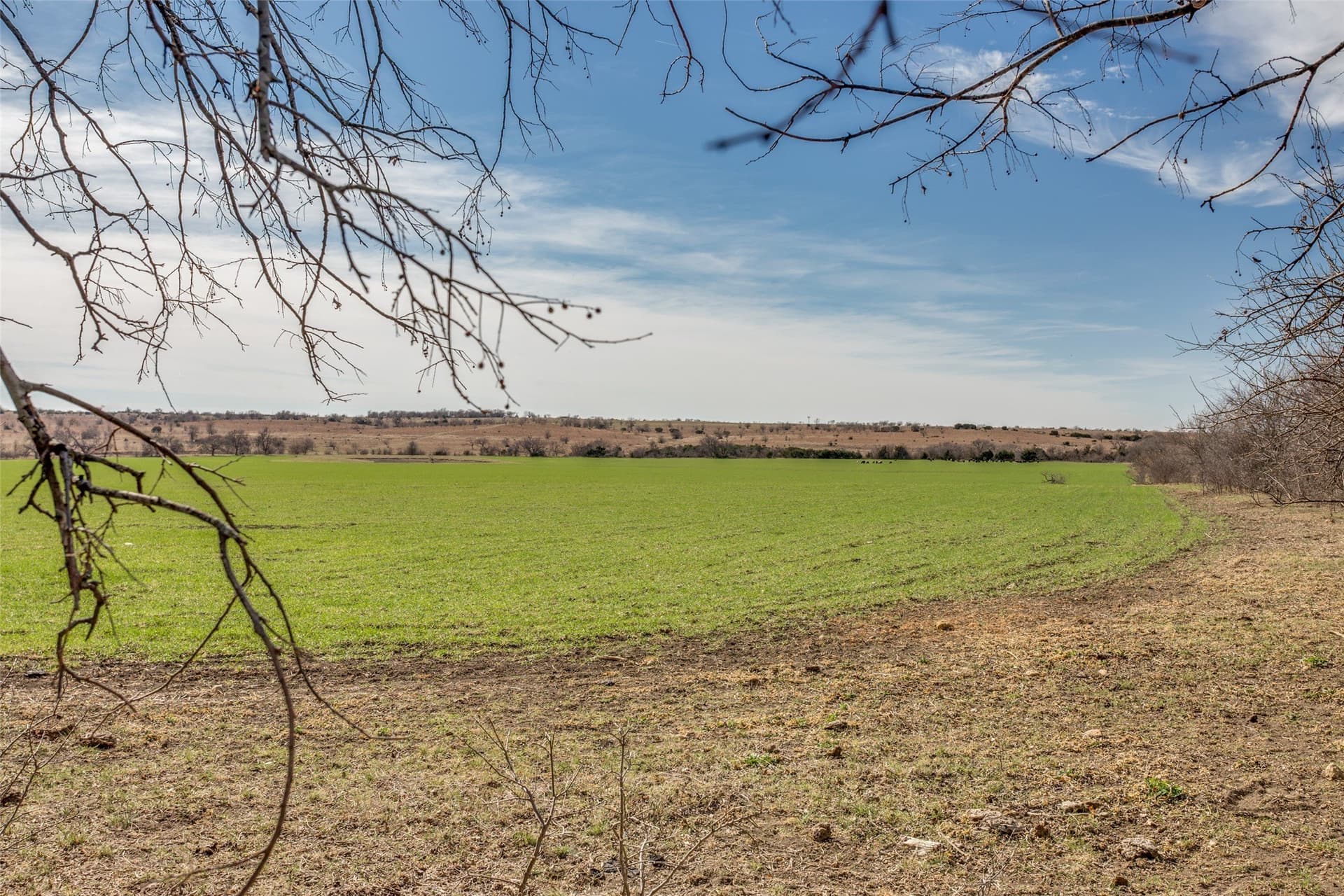 563.39 acres in Johnson County - photo 15