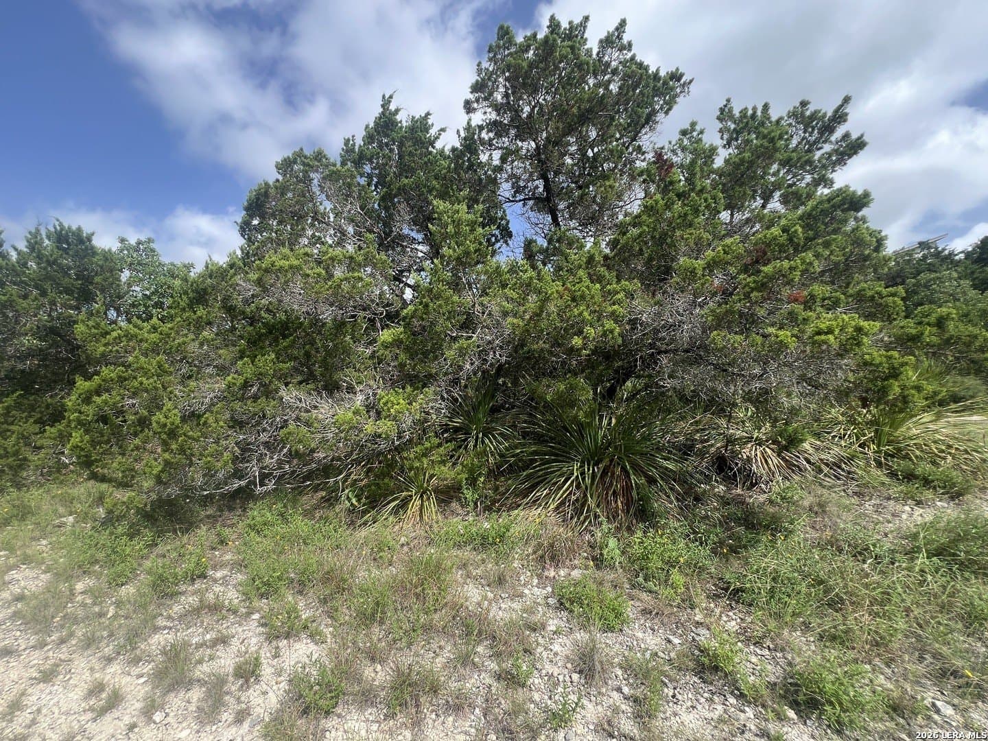 0.12 acres in Comal County