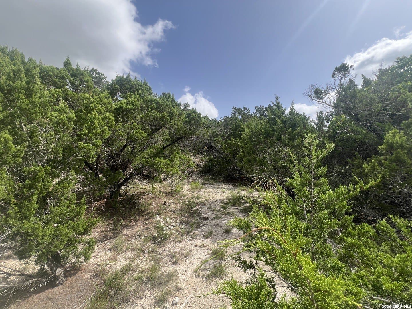 0.12 acres in Comal County - photo 7