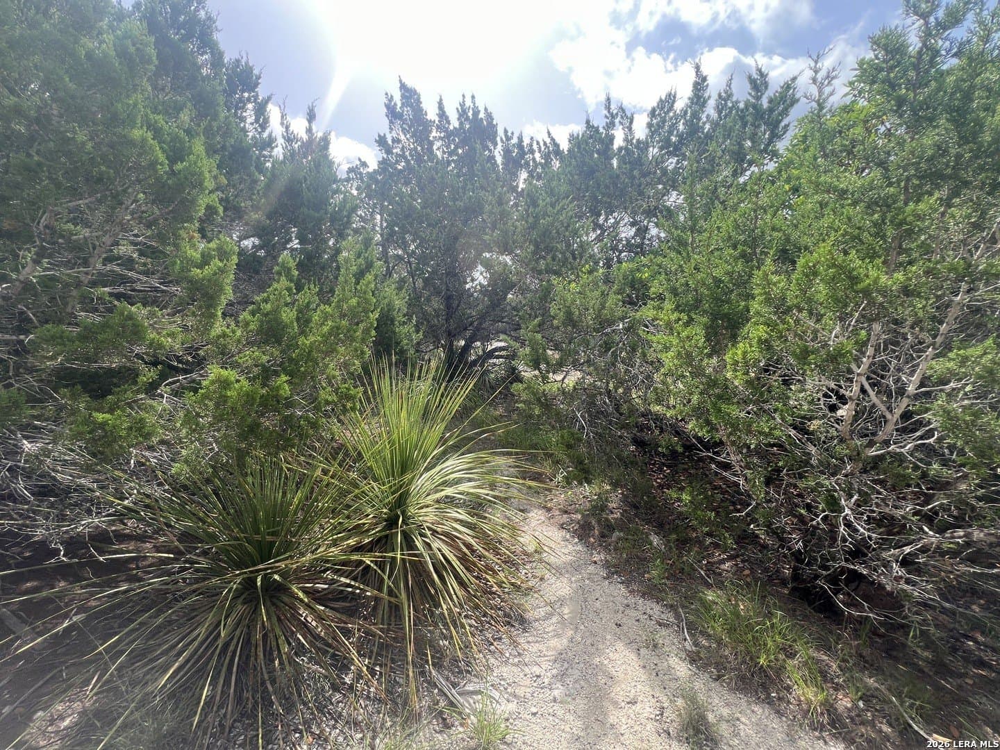 0.12 acres in Comal County - photo 8