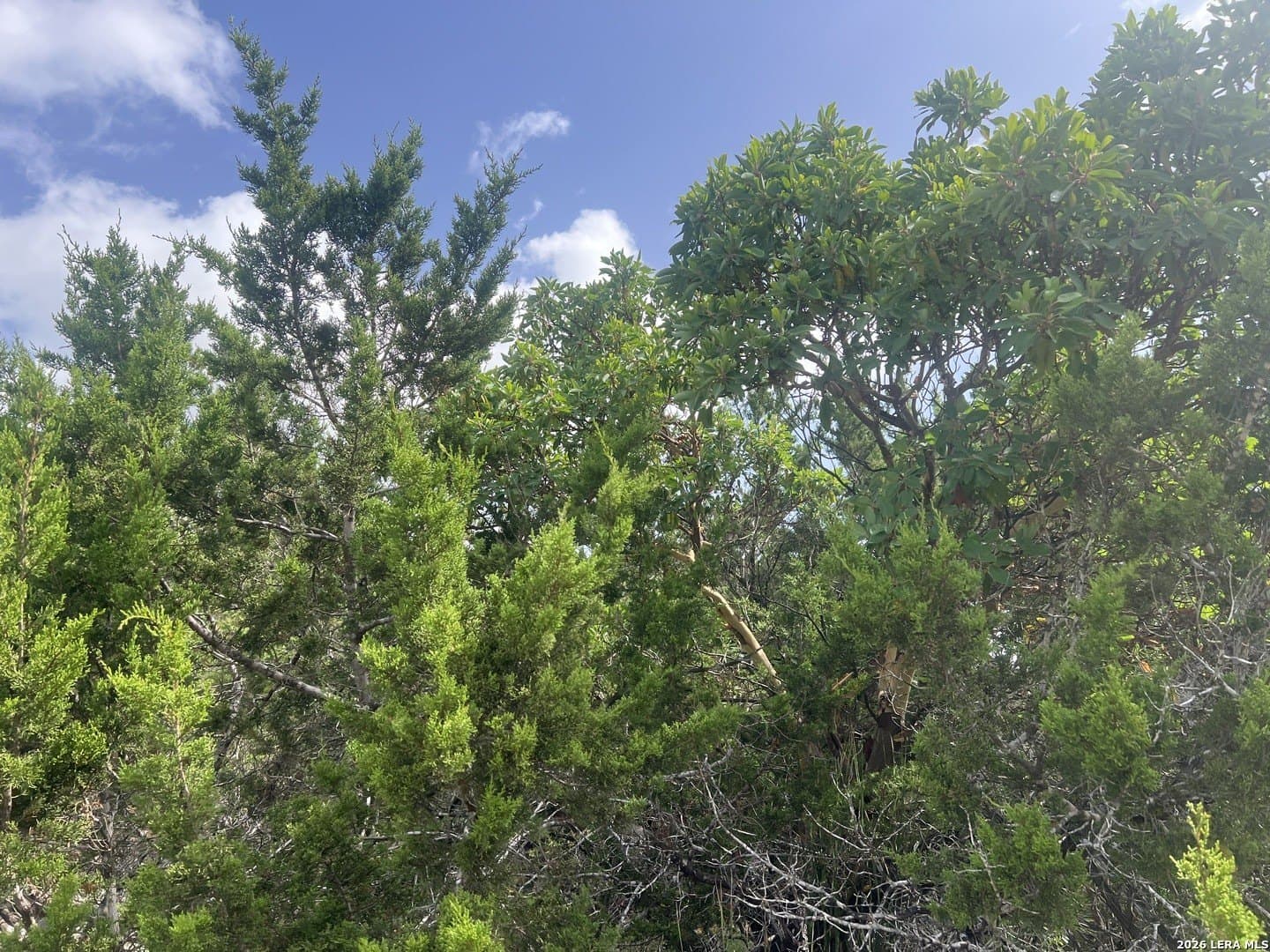 0.12 acres in Comal County featured view