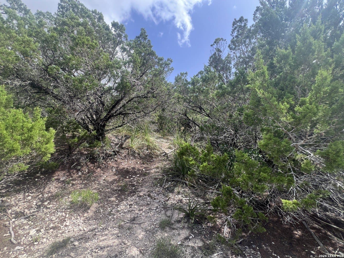 0.12 acres in Comal County gallery image 2