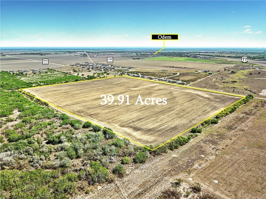 39.91 acres in San Patricio County gallery image 3