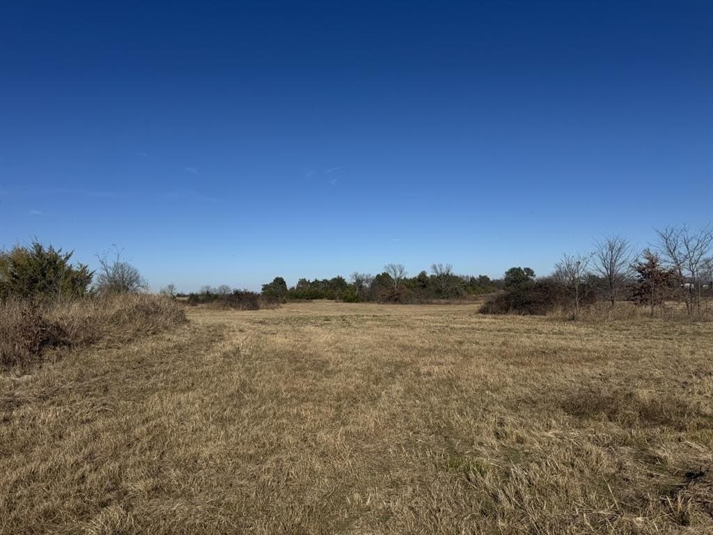 11 acres in Lamar County gallery image 4