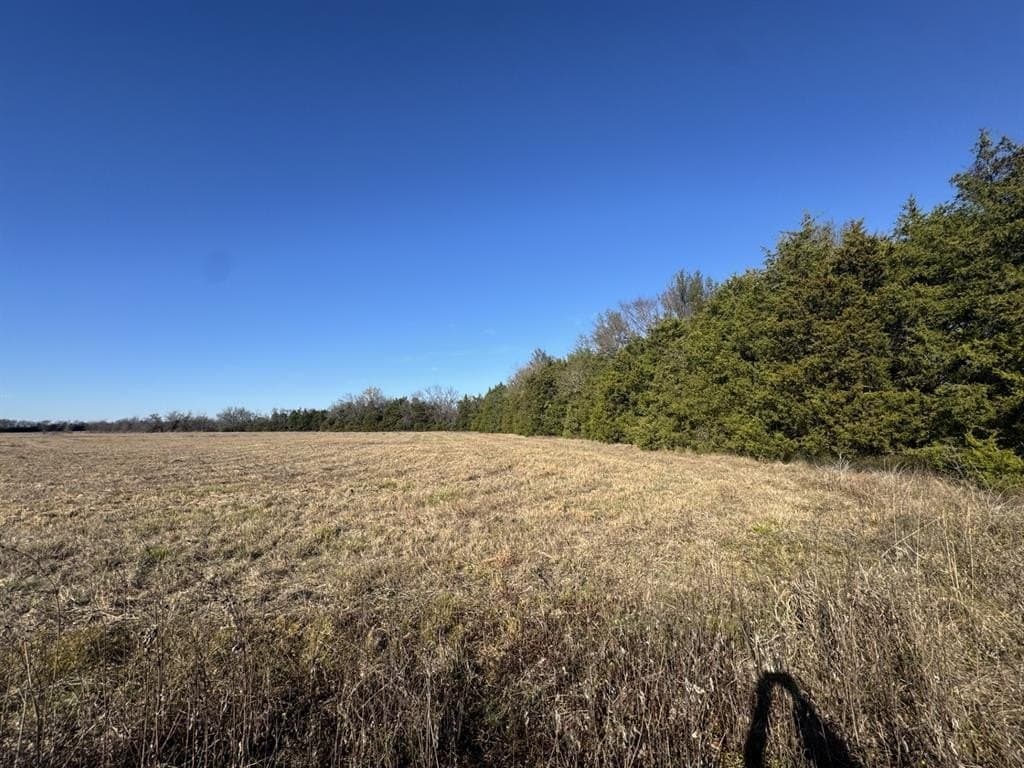 11 acres in Lamar County featured view