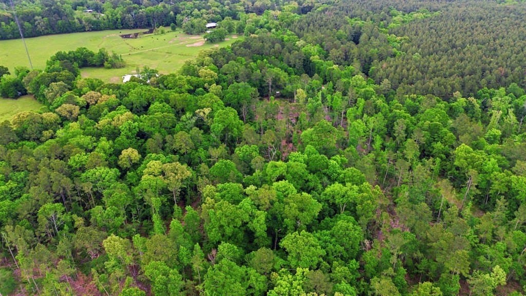 32.57 acres in Texas County - photo 11