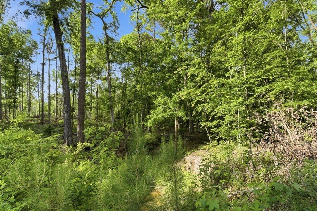 32.57 acres in Texas County - photo 6