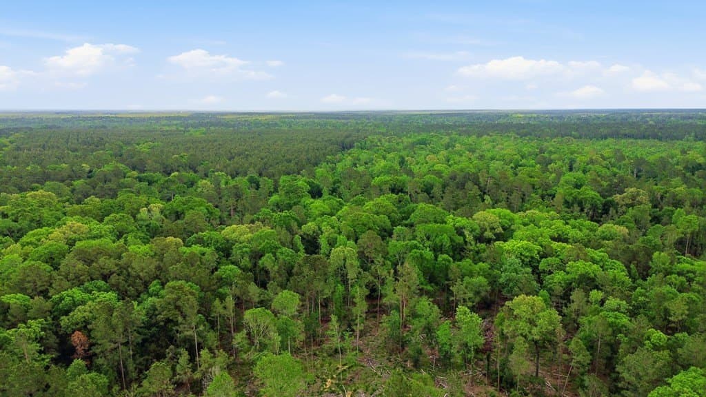 32.57 acres in Texas County - photo 12