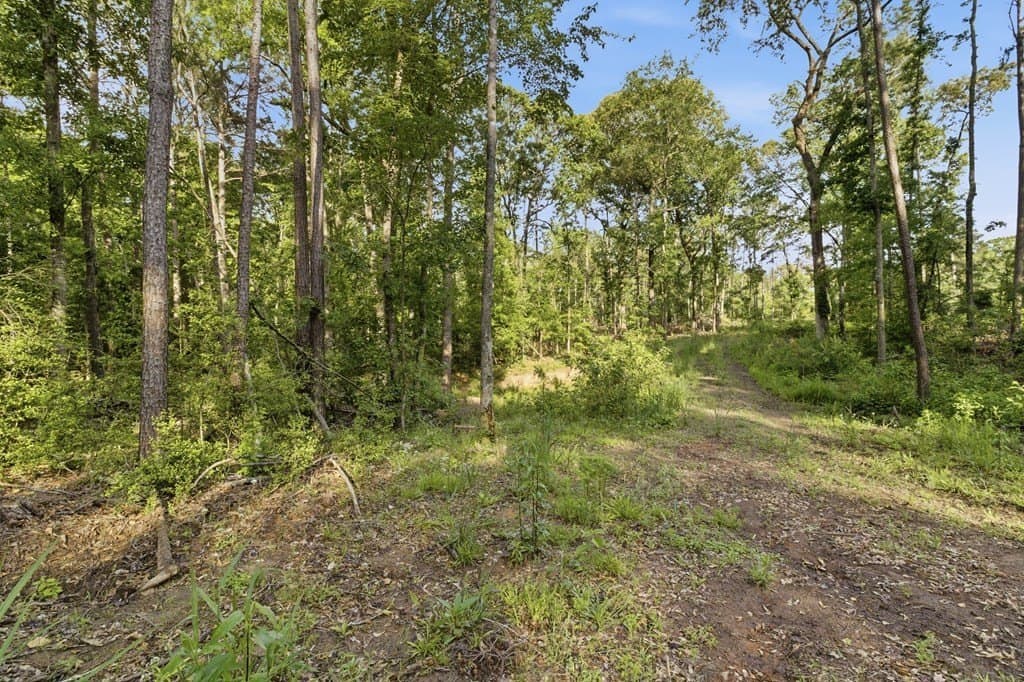 32.57 acres in Texas County - photo 7