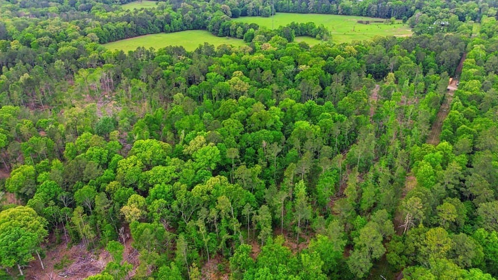 32.57 acres in Texas County - photo 10