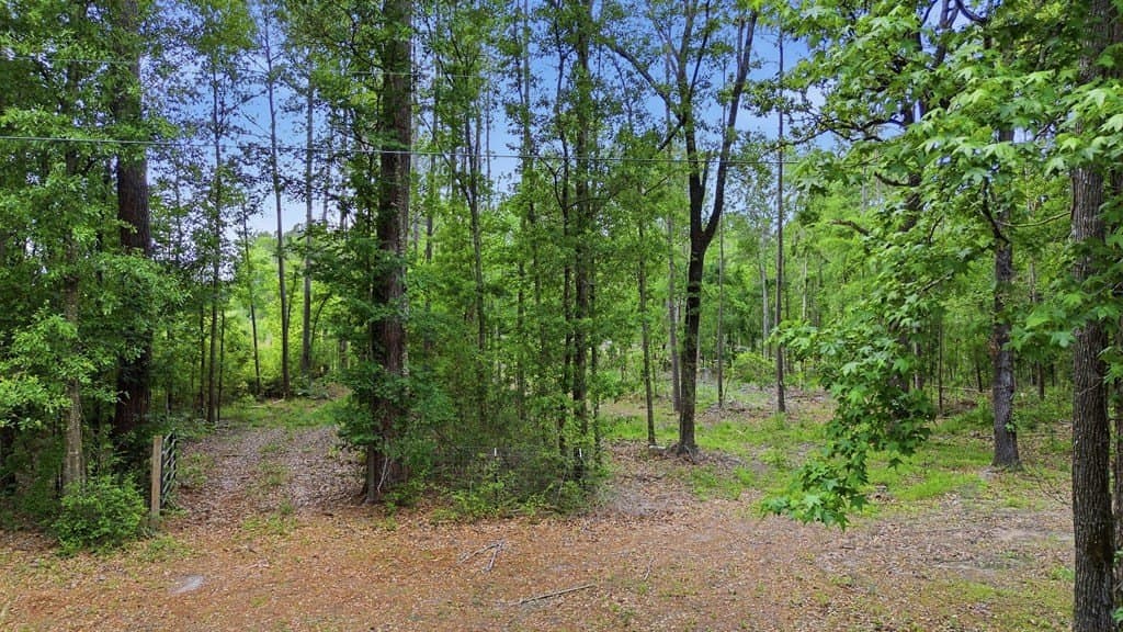 32.57 acres in Texas County - photo 8