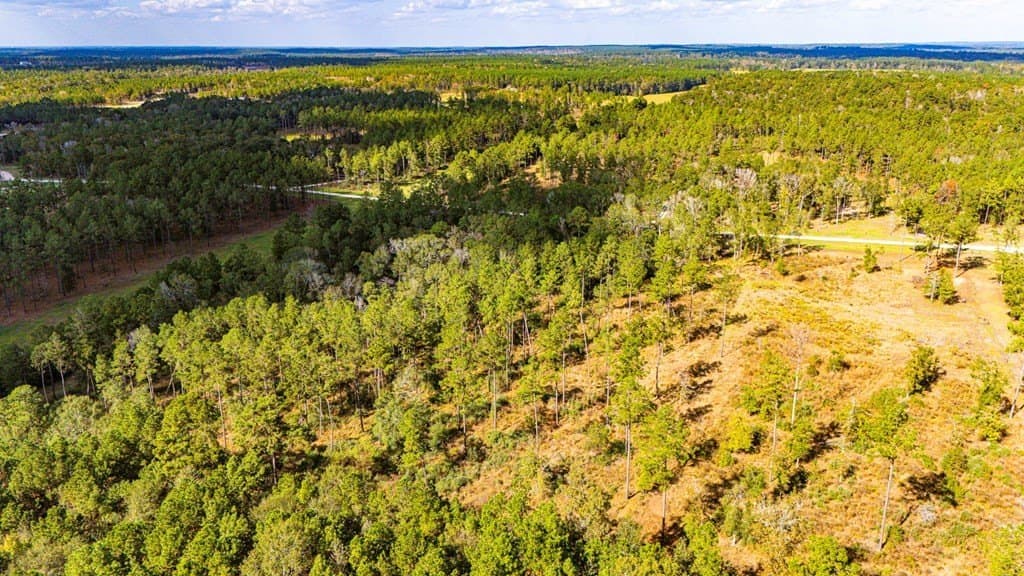 2.99 acres in Texas County gallery image 3