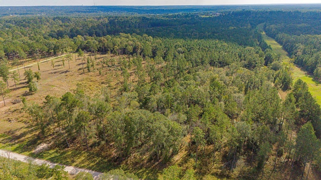 2.99 acres in Texas County featured view
