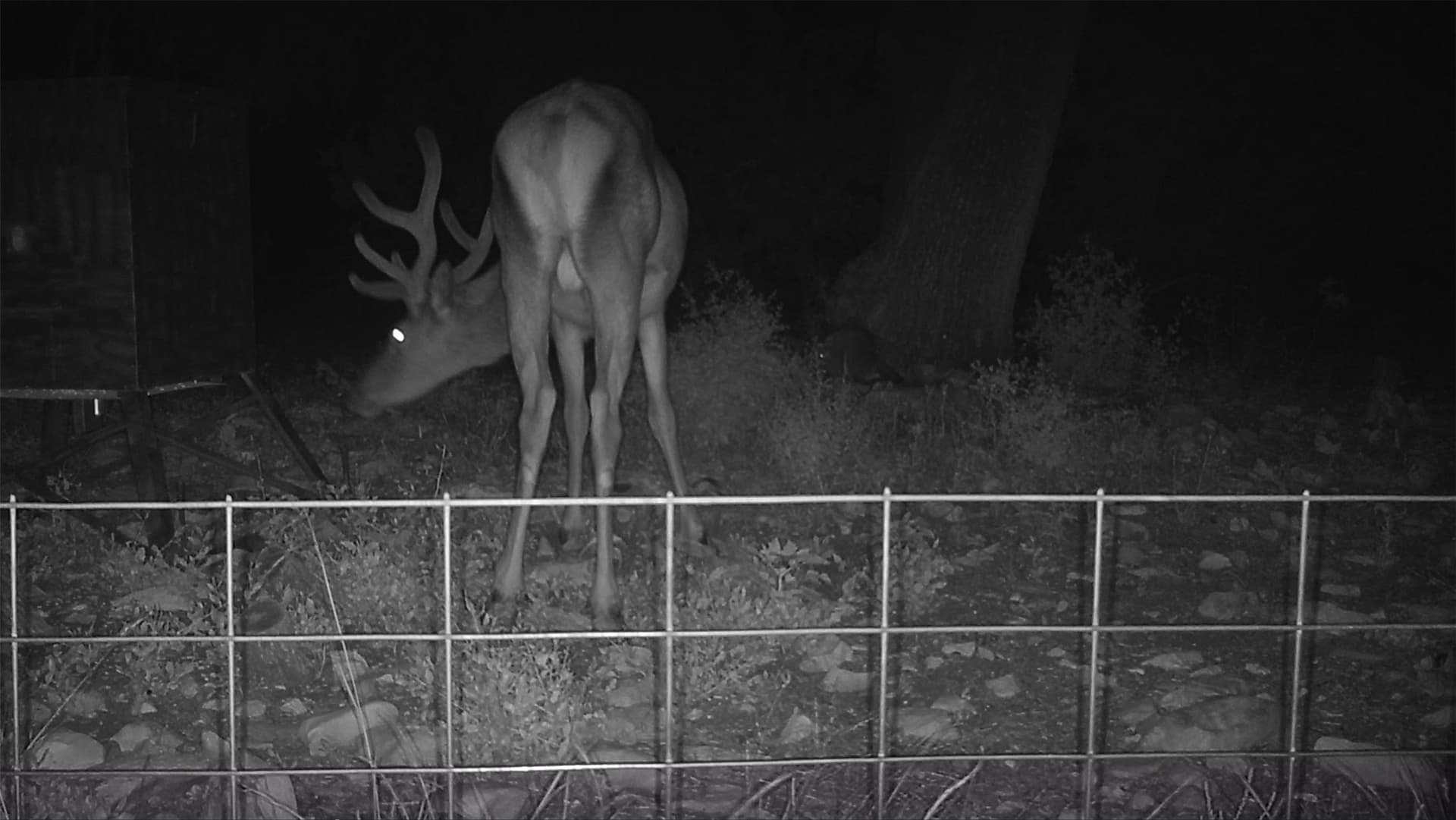 107.23 acres in Edwards County - photo 7