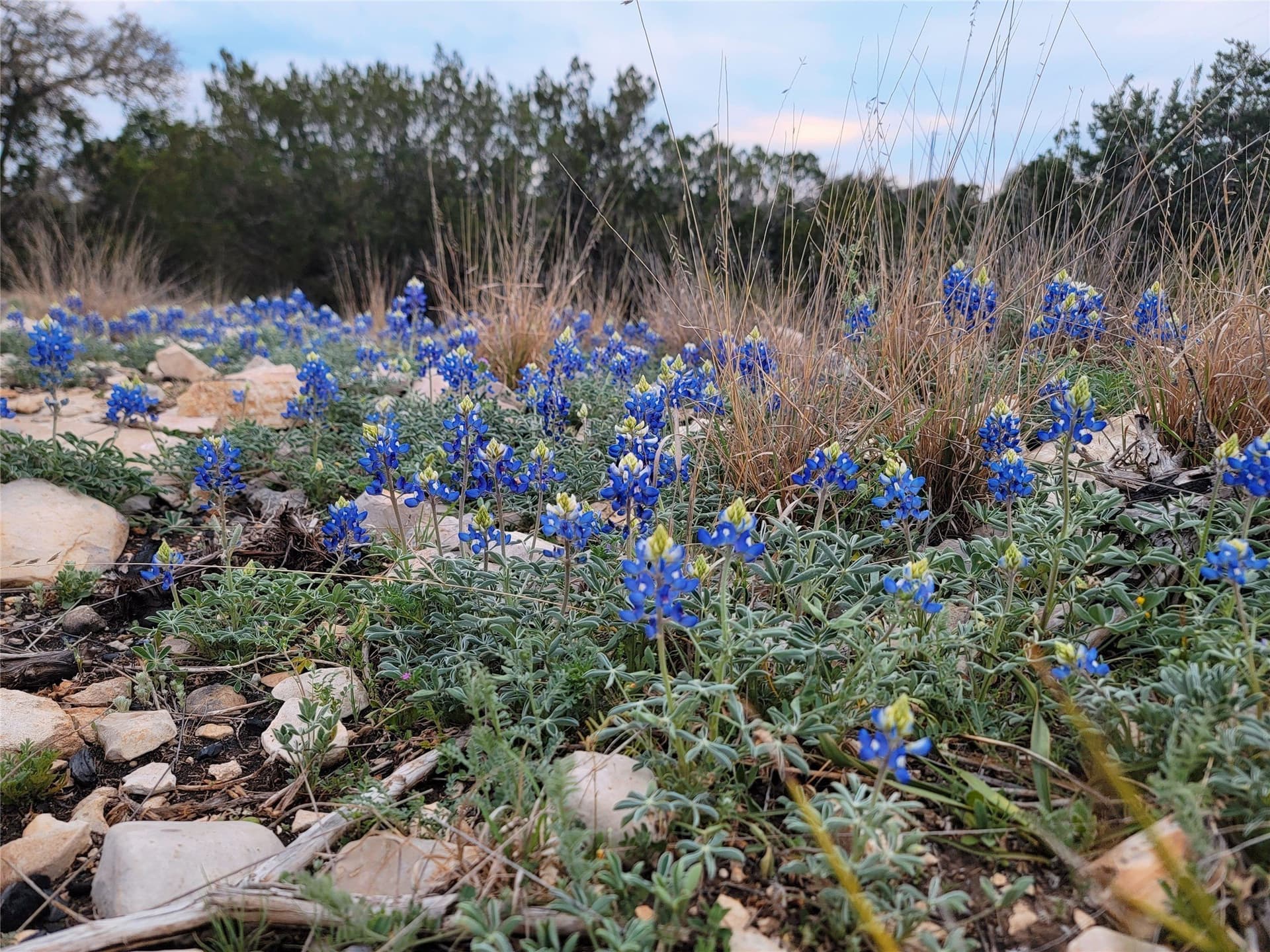 107.23 acres in Edwards County - photo 36