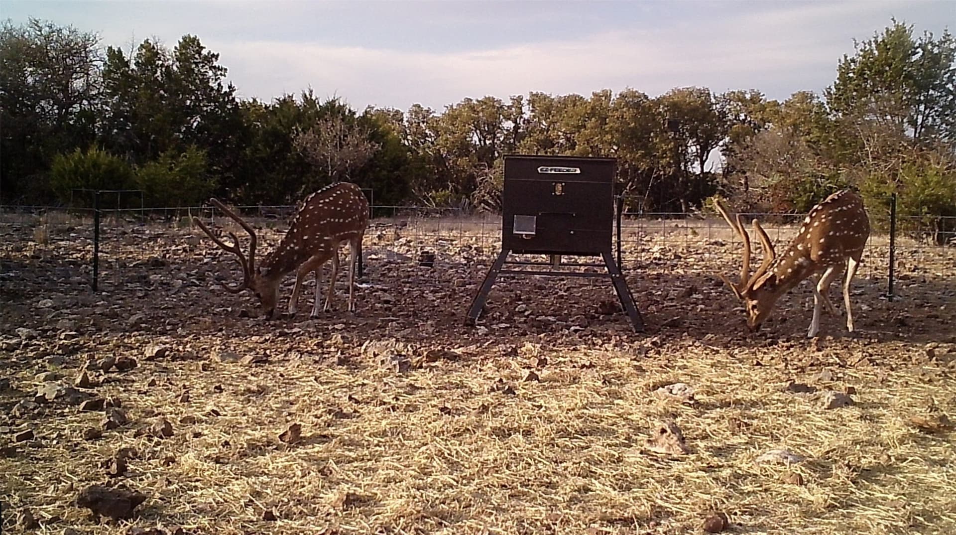 107.23 acres in Edwards County - photo 12