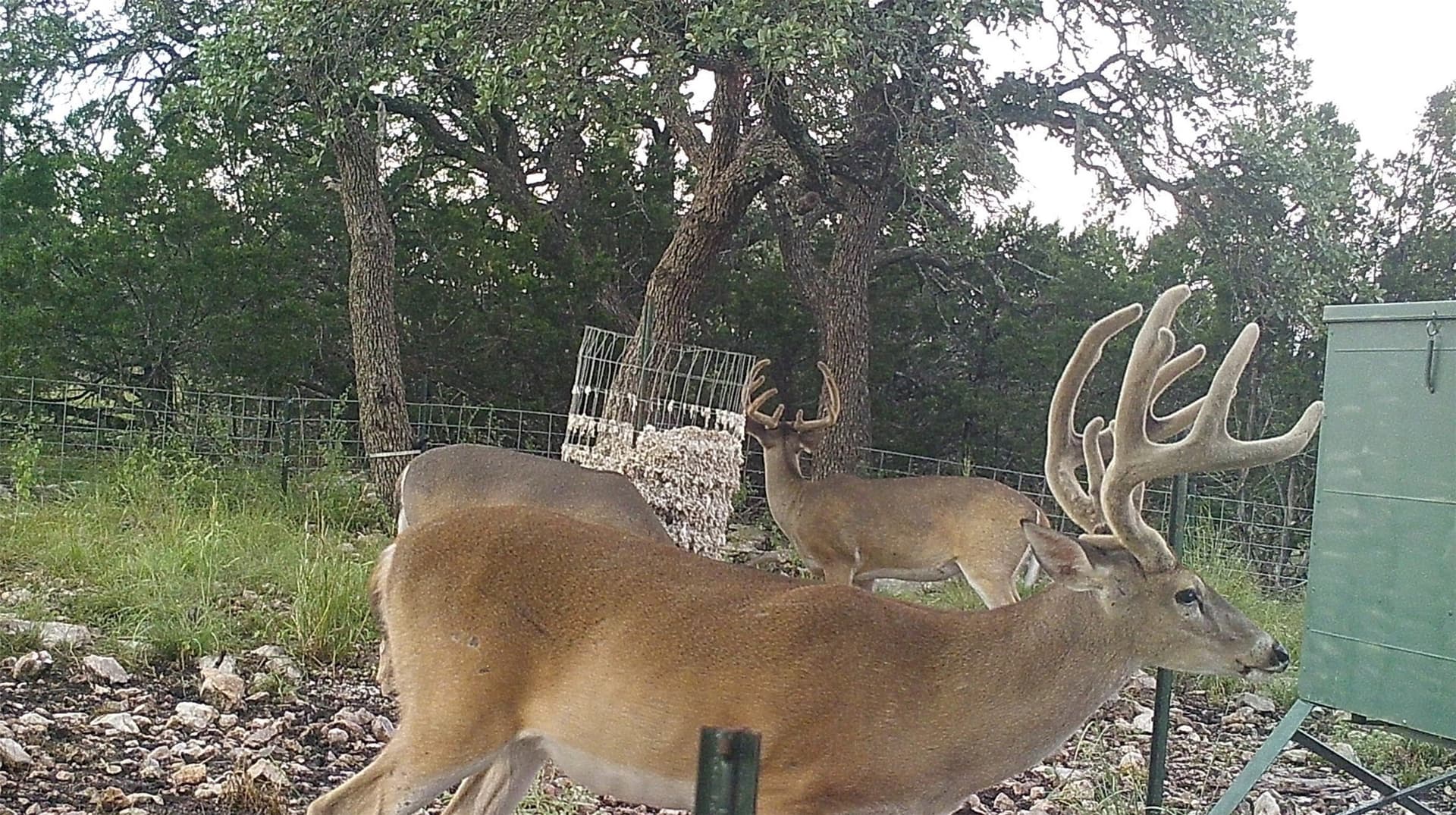 107.23 acres in Edwards County - photo 16