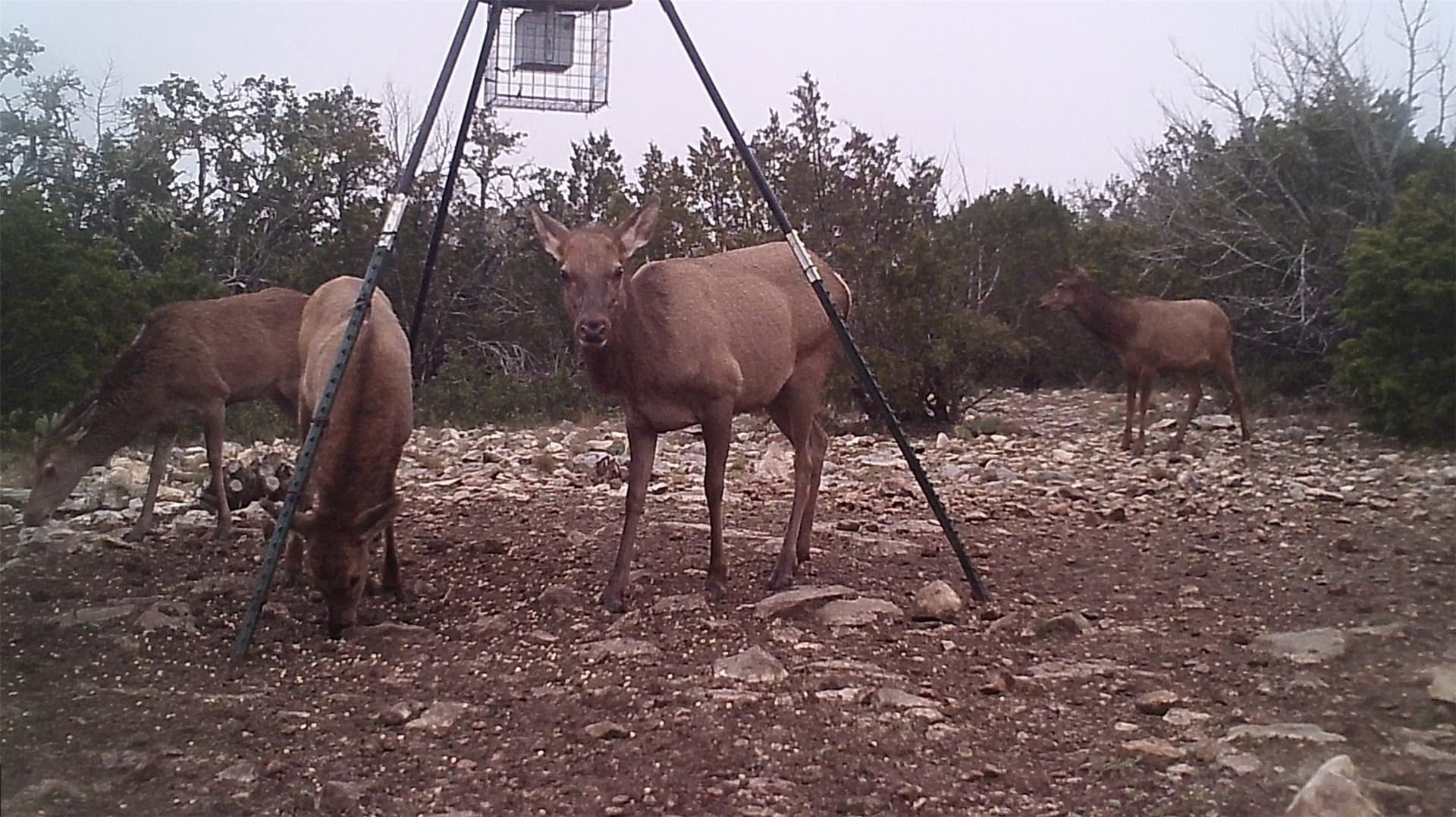 107.23 acres in Edwards County - photo 8