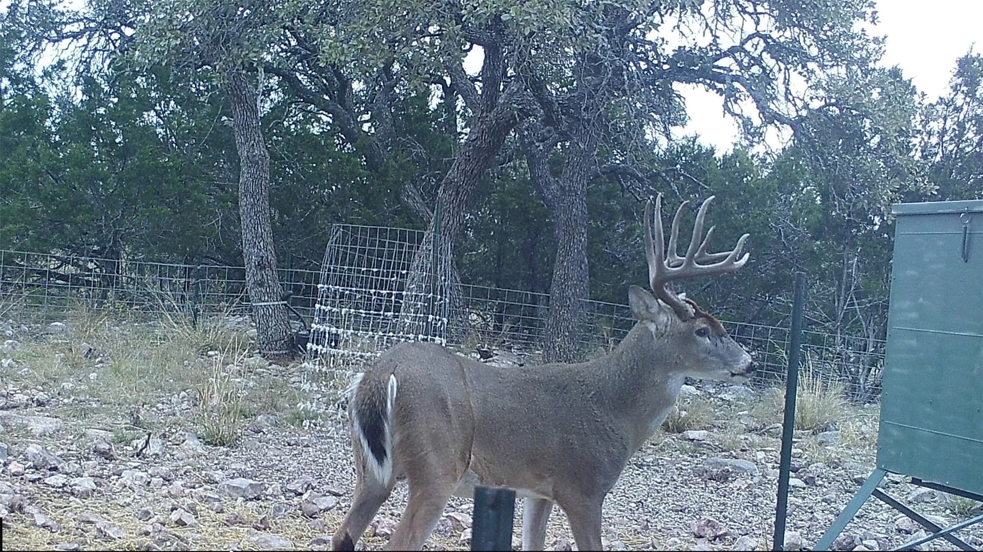 107.23 acres in Edwards County - photo 13