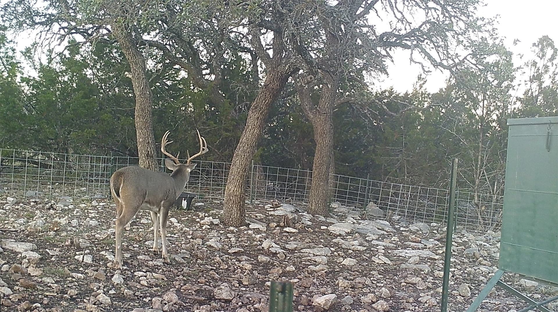 107.23 acres in Edwards County - photo 20