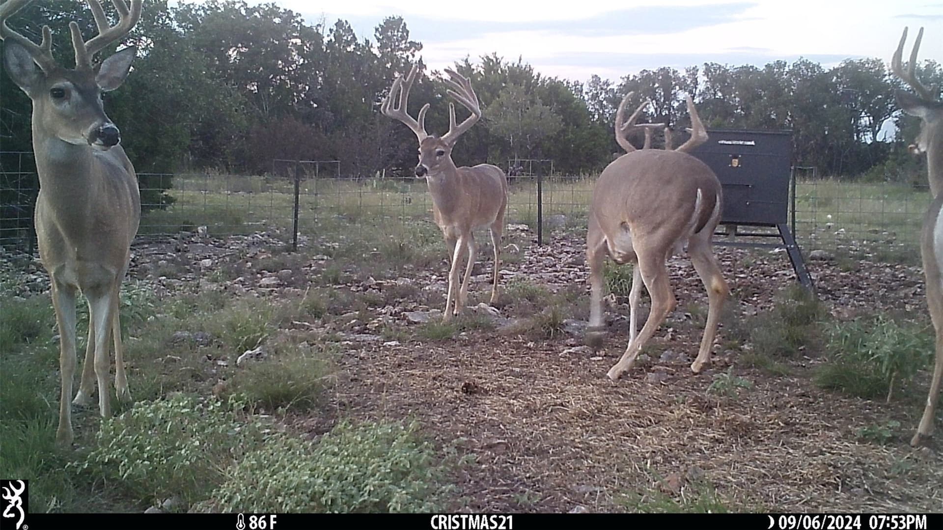 107.23 acres in Edwards County gallery image 2